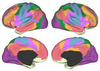 A Tour of the Brain's Functional Networks